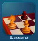 Шахматы
